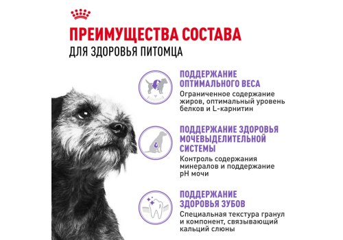 Royal Canin Mini Adult Sterilised / Сухой корм Роял Канин Мини Эдалт Стерилайзд для взрослых Стерилизованных собак Мелких пород в возрасте от 10 месяцев до 8 лет со склонностью к Избыточному весу