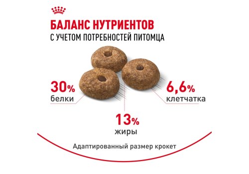 Royal Canin Mini Adult Sterilised / Сухой корм Роял Канин Мини Эдалт Стерилайзд для взрослых Стерилизованных собак Мелких пород в возрасте от 10 месяцев до 8 лет со склонностью к Избыточному весу
