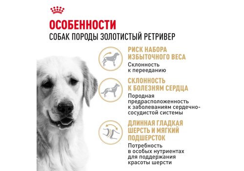 Royal Canin Breed dog Golden Retriever Adult / Сухой корм Роял Канин для взрослых собак породы Голден Ретривер старше 15 месяцев
