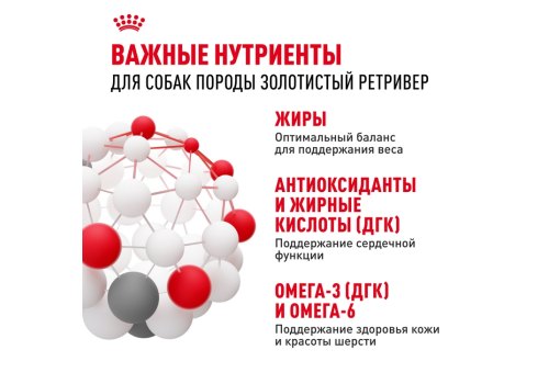 Royal Canin Breed dog Golden Retriever Adult / Сухой корм Роял Канин для взрослых собак породы Голден Ретривер старше 15 месяцев
