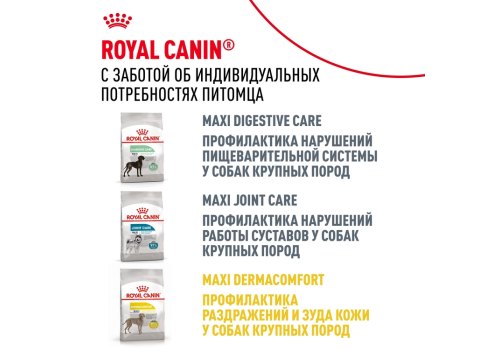 Royal Canin Breed dog Golden Retriever Adult / Сухой корм Роял Канин для взрослых собак породы Голден Ретривер старше 15 месяцев