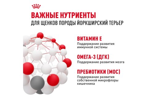 Royal Canin Breed dog Yorkshire Terrier Puppy / Сухой корм Роял Канин для Щенков породы Йоркширский Терьер в возрасте от 2 до 10 месяцев