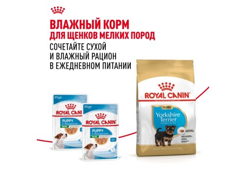 Royal Canin Breed dog Yorkshire Terrier Puppy / Сухой корм Роял Канин для Щенков породы Йоркширский Терьер в возрасте от 2 до 10 месяцев