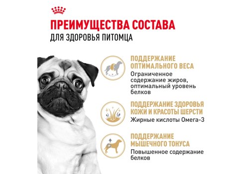 Royal Canin Breed dog Pug Adult / Сухой корм Роял Канин для взрослых собак породы Мопс старше 10 месяцев
