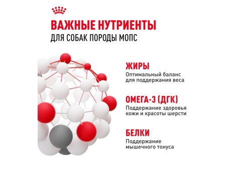 Royal Canin Breed dog Pug Adult / Сухой корм Роял Канин для взрослых собак породы Мопс старше 10 месяцев