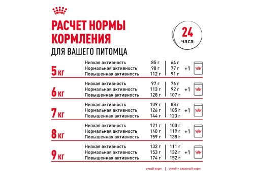 Royal Canin Breed dog Pug Adult / Сухой корм Роял Канин для взрослых собак породы Мопс старше 10 месяцев