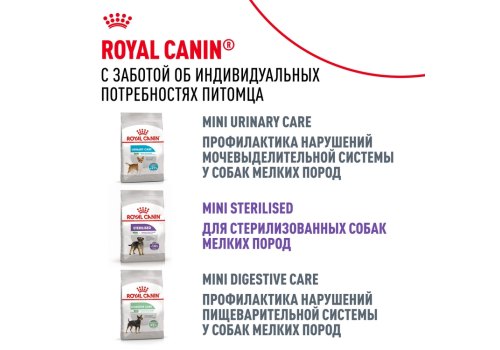 Royal Canin Breed dog Pug Adult / Сухой корм Роял Канин для взрослых собак породы Мопс старше 10 месяцев
