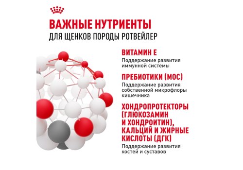 Royal Canin Breed dog Rottweiler Puppy / Сухой корм Роял Канин для Щенков породы Ротвейлер в возрасте до 18 месяцев