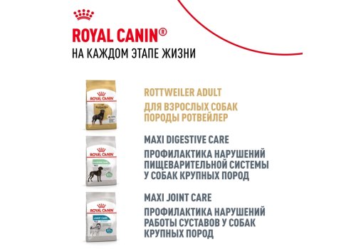 Royal Canin Breed dog Rottweiler Puppy / Сухой корм Роял Канин для Щенков породы Ротвейлер в возрасте до 18 месяцев