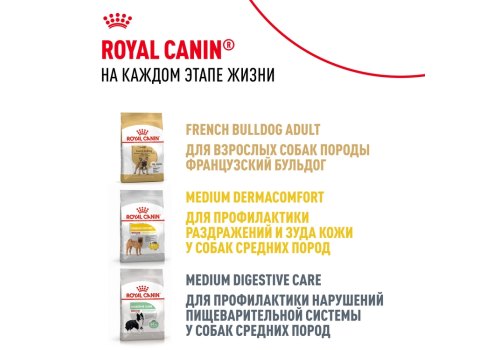Royal Canin Breed dog French Bulldog Puppy / Сухой корм Роял Канин для Щенков породы Французский Бульдог в возрасте до 1 года