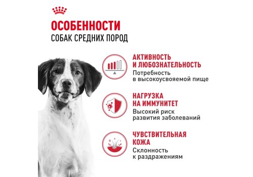 Royal Canin Medium Adult / Влажный корм (Паучи) Роял Канин Медиум Эдалт для Взрослых собак Средних пород от 12 месяцев до 10 лет (Цена за упаковку)