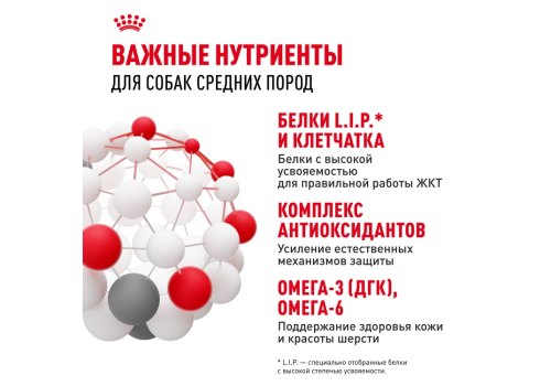 Royal Canin Medium Adult / Влажный корм (Паучи) Роял Канин Медиум Эдалт для Взрослых собак Средних пород от 12 месяцев до 10 лет (Цена за упаковку)