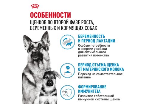Royal Canin Maxi Starter / Сухой корм Роял Канин Макси Стартер для Щенков Крупных пород до 2 месяцев