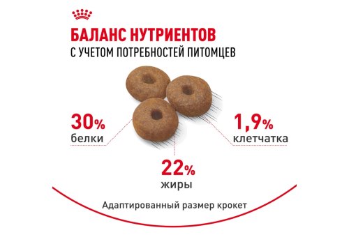 Royal Canin Maxi Starter / Сухой корм Роял Канин Макси Стартер для Щенков Крупных пород до 2 месяцев