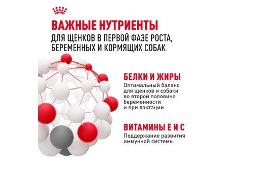 Royal Canin Maxi Starter / Сухой корм Роял Канин Макси Стартер для Щенков Крупных пород до 2 месяцев