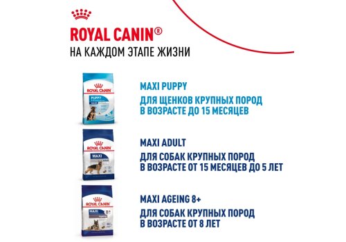 Royal Canin Maxi Starter / Сухой корм Роял Канин Макси Стартер для Щенков Крупных пород до 2 месяцев