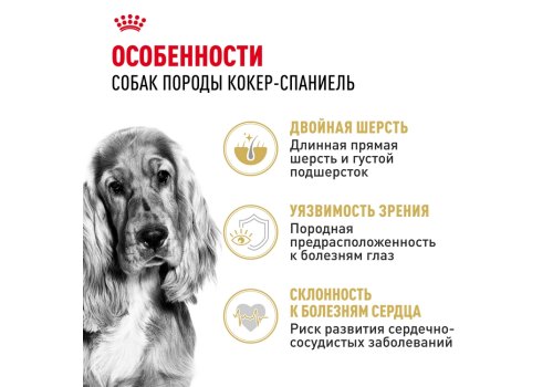 Royal Canin Breed dog Cocker Adult / Сухой корм Роял Канин для взрослых собак породы Кокер Спаниель старше 1 года