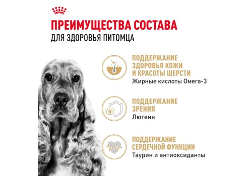 Royal Canin Breed dog Cocker Adult / Сухой корм Роял Канин для взрослых собак породы Кокер Спаниель старше 1 года