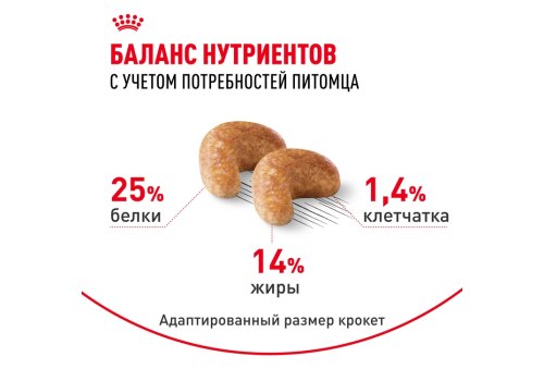 Royal Canin Breed dog Cocker Adult / Сухой корм Роял Канин для взрослых собак породы Кокер Спаниель старше 1 года