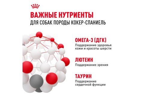 Royal Canin Breed dog Cocker Adult / Сухой корм Роял Канин для взрослых собак породы Кокер Спаниель старше 1 года