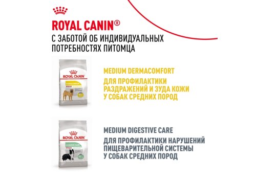 Royal Canin Breed dog Cocker Adult / Сухой корм Роял Канин для взрослых собак породы Кокер Спаниель старше 1 года