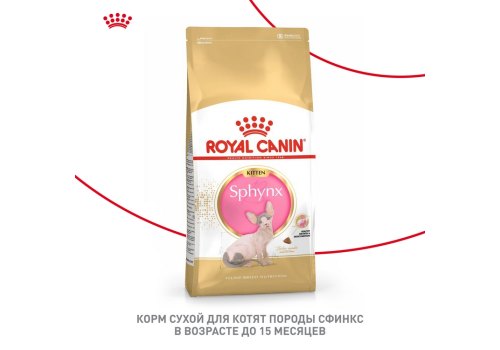 Royal Canin Breed cat Kitten Sphynx / Сухой корм Роял Канин для Котят породы Сфинкс в возрасте до 12 месяцев