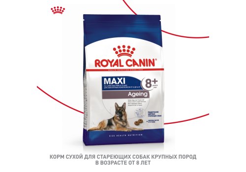 Royal Canin Maxi Ageing 8+ / Сухой корм Роял Канин Макси Эйджинг 8+ для Пожилых собак Крупных пород старше 8 лет