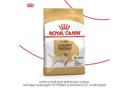 Royal Canin Breed dog Labrador Retriever Adult / Сухой корм Роял Канин для взрослых собак породы Лабрадор старше 15 месяцев