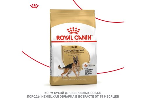 Royal Canin Breed dog German Shepherd Adult / Сухой корм Роял Канин для взрослых собак породы Немецкая Овчарка старше 15 месяцев