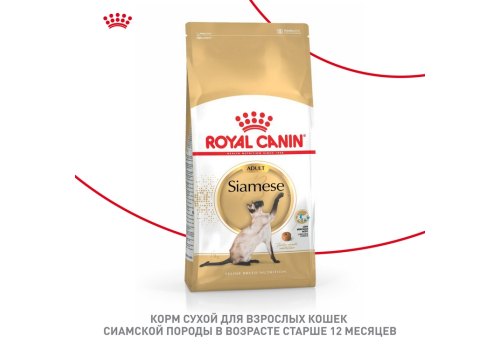 Royal Canin Breed cat Siamese / Сухой корм Роял Канин для взрослых кошек Сиамской породы старше 1 года