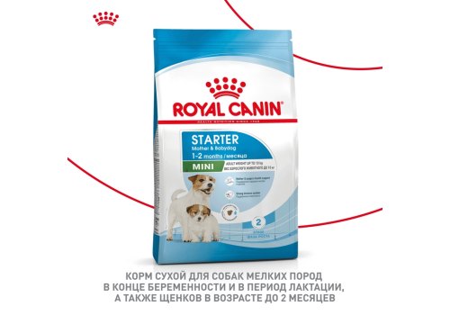 Royal Canin Mini Starter / Сухой корм Роял Канин Мини Стартер для Щенков Мелких пород в возрасте до 2 месяцев