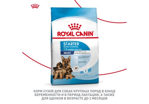 Royal Canin Maxi Starter / Сухой корм Роял Канин Макси Стартер для Щенков Крупных пород до 2 месяцев