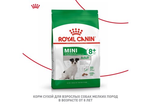 Royal Canin Mini Adult 8+ / Сухой корм Роял Канин Мини для Пожилых собак Мелких пород старше 8 лет
