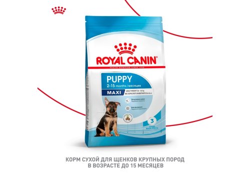 Royal Canin Maxi Puppy / Сухой корм Роял Канин Макси Паппи для Щенков Крупных пород в возрасте от 2 до 15 месяцев