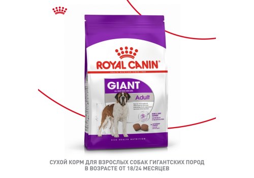 Royal Canin Giant Adult / Сухой корм Роял Канин Джайнт Эдалт для Взрослых собак Гигантских пород в возрасте старше 2 лет