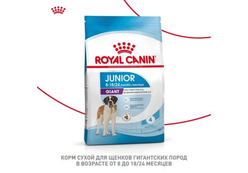 Royal Canin Giant Junior / Сухой корм Роял Канин Джайнт Юниор для Щенков Гигантских пород в возрасте от 8 месяцев до 2 лет