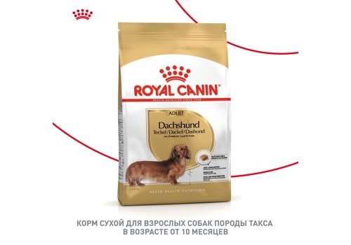 Royal Canin Breed dog Dachshund Adult / Сухой корм Роял Канин для взрослых собак породы Такса старше 10 месяцев