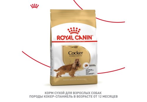 Royal Canin Breed dog Cocker Adult / Сухой корм Роял Канин для взрослых собак породы Кокер Спаниель старше 1 года