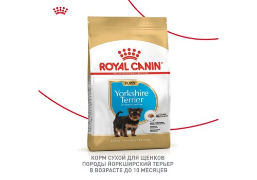 Royal Canin Breed dog Yorkshire Terrier Puppy / Сухой корм Роял Канин для Щенков породы Йоркширский Терьер в возрасте от 2 до 10 месяцев