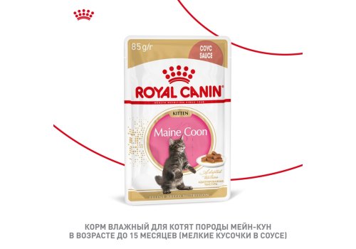 Royal Canin Breed Kitten Maine Coon / Влажный корм (Консервы-Паучи) Роял Канин для Котят породы Мэйн Кун в возрасте до 15 месяцев (цена за упаковку)