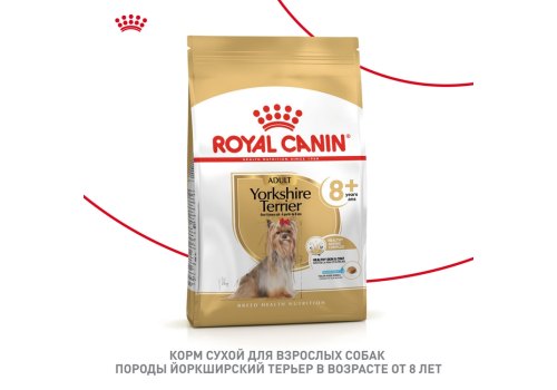 Royal Canin Breed dog Yorkshire Terrier 8+  / Сухой корм Роял Канин для Пожилых собак породы Йоркширский Терьер старше 8 лет