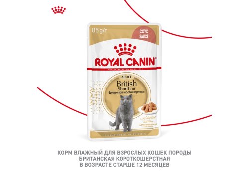 Royal Canin Breed cat British Shorthair / Влажный корм (Консервы-Паучи) Роял Канин для кошек породы Британская короткошерстная