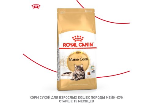 Royal Canin Breed cat Maine Coon / Сухой корм Роял Канин для Взрослых кошек породы Мэйн Кун старше 15 месяцев