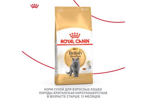 Royal Canin Breed cat British Shorthair / Сухой корм Роял Канин для Взрослых кошек породы Британская короткошерстная
