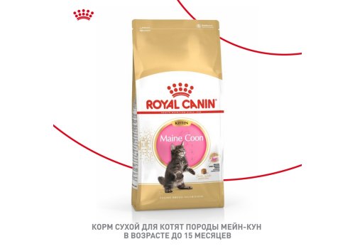 Royal Canin Breed cat Kitten Maine Coon / Сухой корм Роял Канин для Котят породы Мэйн Кун в возрасте до 15 месяцев