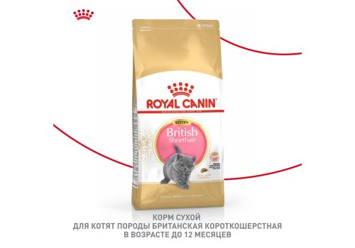 Royal Canin Breed cat Kitten British Shorthair / Сухой корм Роял Канин для Котят породы Британская короткошерстная в возрасте от 4 до 12 месяцев