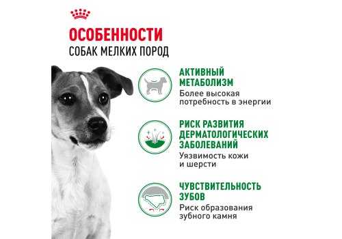 Royal Canin Mini Adult / Сухой корм Роял Канин Мини Эдалт для взрослых собак Мелких пород в возрасте от 10 месяцев до 8 лет