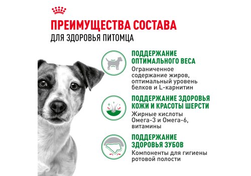 Royal Canin Mini Adult / Сухой корм Роял Канин Мини Эдалт для взрослых собак Мелких пород в возрасте от 10 месяцев до 8 лет