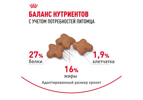 Royal Canin Mini Adult / Сухой корм Роял Канин Мини Эдалт для взрослых собак Мелких пород в возрасте от 10 месяцев до 8 лет