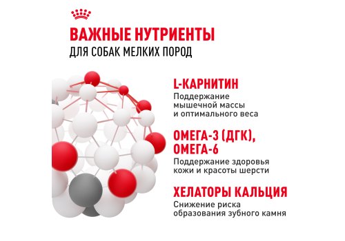 Royal Canin Mini Adult / Сухой корм Роял Канин Мини Эдалт для взрослых собак Мелких пород в возрасте от 10 месяцев до 8 лет